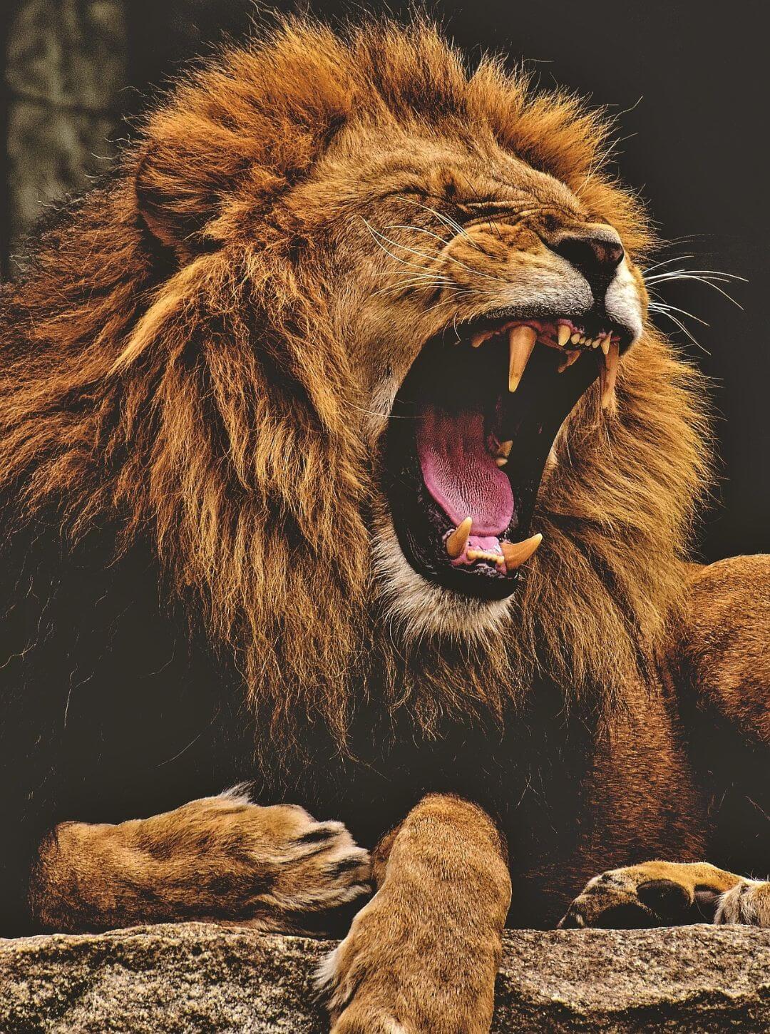 Gestão Fiscal AuditaCerto - Auditoria Preventiva